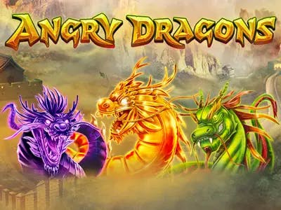 Angry Dragons